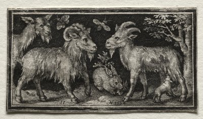Geiten en Haas, 1594 door Nicolaes de Bruyn
