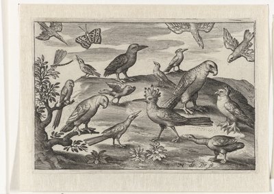 Hop en andere vogels Vogels en insecten (serie titel) door Nicolaes de Bruyn