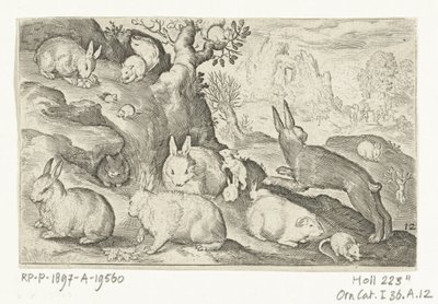 Konijnen, eekhoorn, cavia en muis door Nicolaes de Bruyn