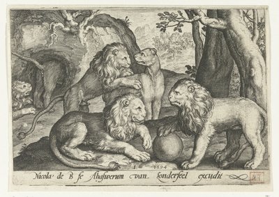 Leeuwen door Nicolaes de Bruyn