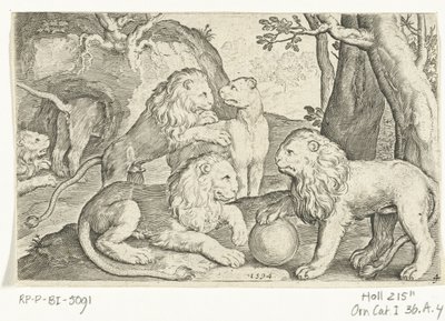 Leeuwen (serie titel) door Nicolaes de Bruyn