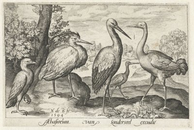 Ooievaar, kraanvogel, reiger en lepelaar door Nicolaes de Bruyn