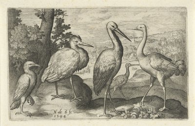 Ooievaar, kraanvogel, reiger en lepelaar door Nicolaes de Bruyn