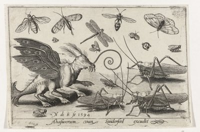 Sprinkhanen en fantasiewezen met vleugels en zwemvliezen Vogels en insecten (serie) door Nicolaes de Bruyn