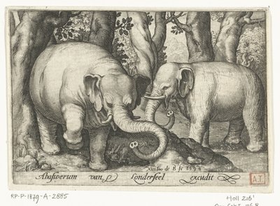 Twee olifanten (Animalivm qvadrvpedvm, Dieren in landschappen) door Nicolaes de Bruyn