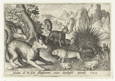Wild zwijn, vossen, bever, stekelvarken en kikkers door Nicolaes de Bruyn