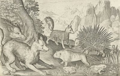 Wild zwijn, vossen, bevers, stekelvarken en kikkers door Nicolaes de Bruyn