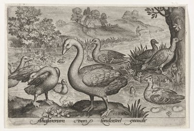 Zwaan en ganzen en eenden bij water door Nicolaes de Bruyn