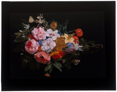 Een festoen van rozen, kamperfoelie, lelies, narcissen, goudsbloem, een slangenkop fritillaria door Nicolaes van Veerendael