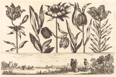 Bloemenprint nr. 11 door Nicolas Cochin after Balthasar Moncornet