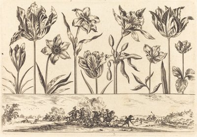 Bloemenprint nr. 2 door Nicolas Cochin after Balthasar Moncornet