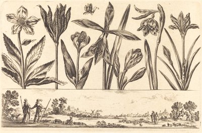 Bloemenprint nr. 4 door Nicolas Cochin after Balthasar Moncornet