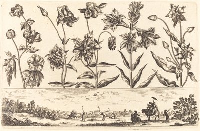 Bloemenprint nr. 6 door Nicolas Cochin after Balthasar Moncornet