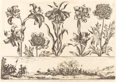 Bloemenafdruk nr. 8 door Nicolas Cochin after Balthasar Moncornet
