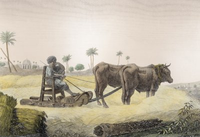 Oogsten van maïs, uit Volume II Arts and Trades van 