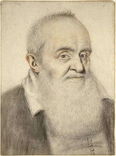 Hoofd van een bebaarde man door Nicolas Lagneau or Lanneau