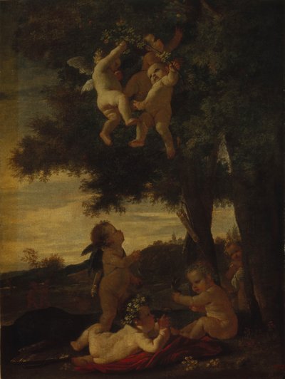 Cupido