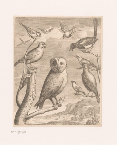 Uil en andere vogels Vogels uit de dierentuin van Versailles door Nicolas Robert (possibly)