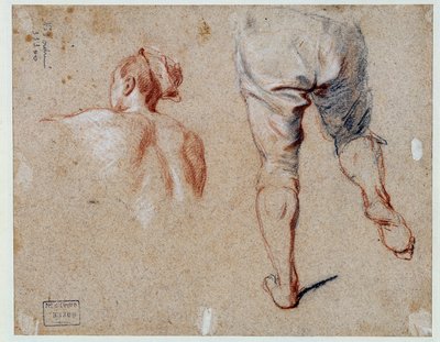 Studie van anatomie door Nicolas Vleughels