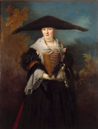 Portret van de mooie Straatsburg Schilderij door Nicolas de Largilliere (1656-1746) 1703 Straatsburg, Musée des Beaux Arts. door Nicolas de Largillière