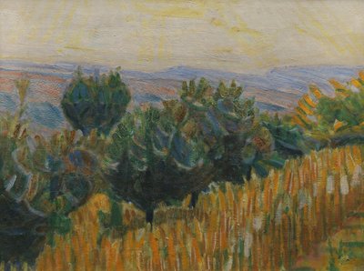 De wijnstok tegen het licht. Een tarweveld op de voorgrond. Villa Linda, Florence door Niels Larsen Stevns