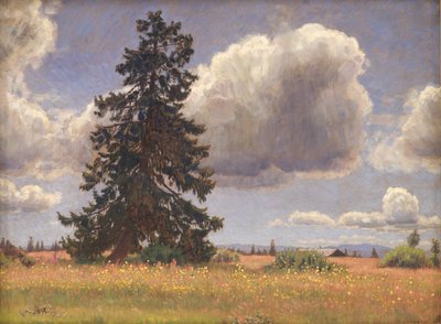Sparrenboom in een Zomerweide. Noorwegen door Niels Skovgaard