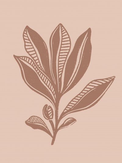 Natuurlijke botanische tekening door Nikita Jariwala