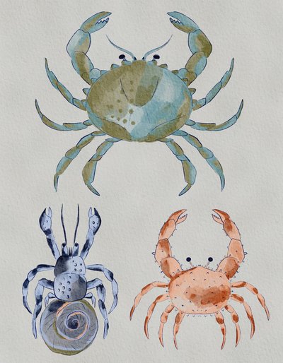 Oceaankrabben in aquarel door Nikita Jariwala