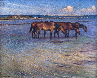 Paarden die zichzelf afkoelen in water door Nils Kreuger