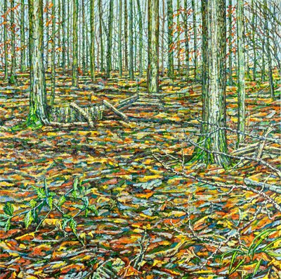Orches Groundscape door Noel Paine