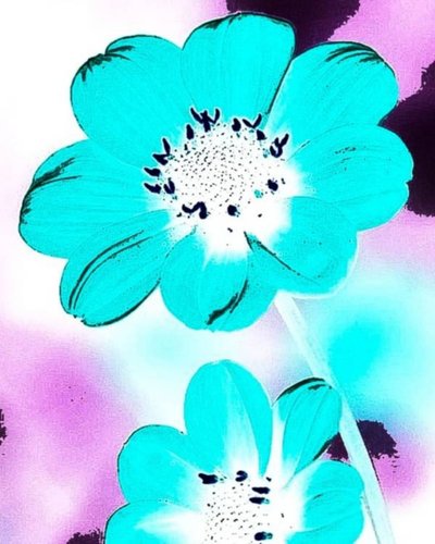 Blauwe bloem door Nomi Morina