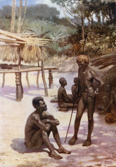 Een Yam Schuur op het Eiland Tierra Espiritu Santo, Nieuwe Hebriden door Norman Hardy