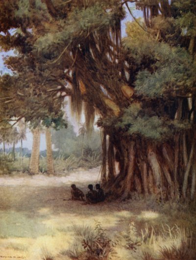 Onder een banyanboom, Malekula-eiland, Nieuwe Hebriden door Norman Hardy