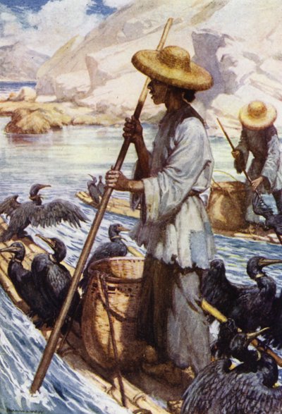 China: Vissen met aalscholvers door Norman Hardy