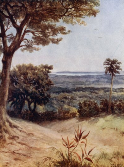 Havannah Harbour, Rathmoy, Nieuwe Hebriden door Norman Hardy