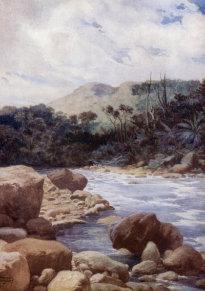 De stroomversnellingen, Williams River, eiland Eromanga, Nieuwe Hebriden door Norman Hardy
