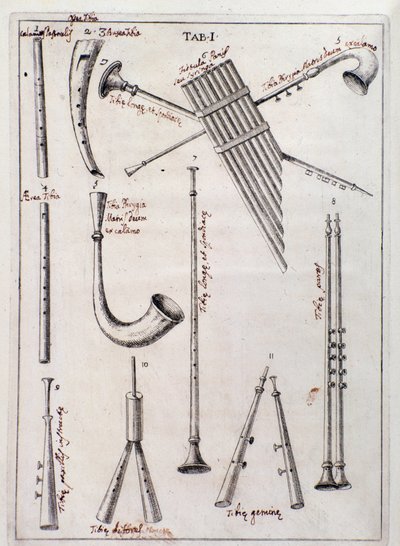 Blaasinstrumenten Pagina uit "de Tribus Generibus Instrumentorum Musicae Veterum" werk over oude instrumenten door Francesco Bianchini door Northern Italian School