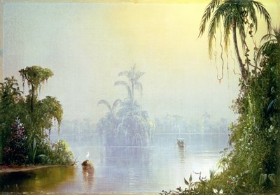 Tropische Nevel, 1879 door Norton Bush