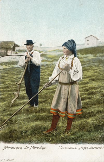 Groep boeren, Setesdal, Noorwegen door Norwegian Photographer