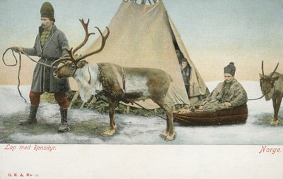 Lappen met rendieren, Noorwegen door Norwegian Photographer
