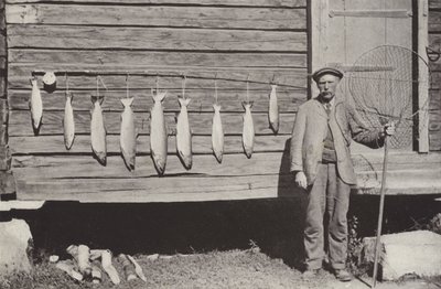 Vissen op forel door Norwegian Photographer