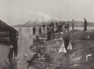 Klipvis Wassen door Norwegian Photographer