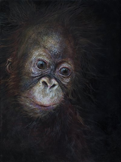 Baby orang-oetan 3, 2015 (acryl op hout) door Odile Kidd