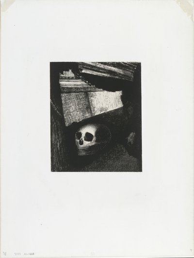 Een Man van het Volk, een Wilde, uit De Jurylid door Odilon Redon
