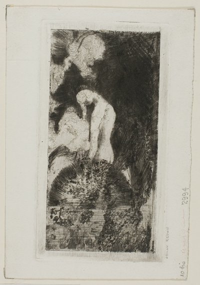 Bader door Odilon Redon