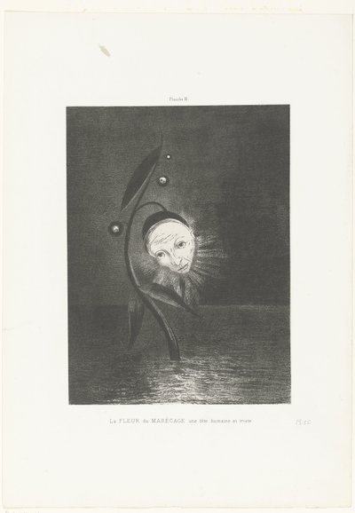 De moerasbloem, een menselijk en triest hoofd door Odilon Redon