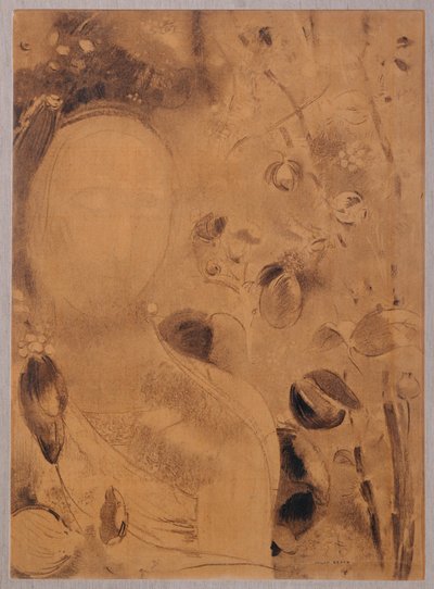 Bloemen en gezicht (houtskool op papier) door Odilon Redon