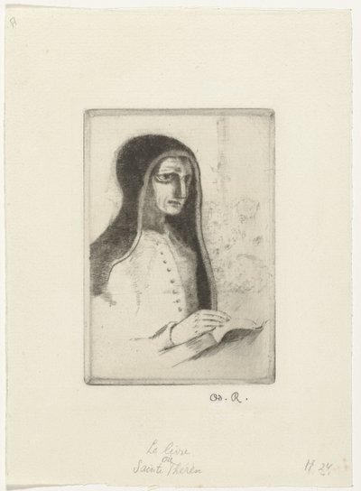 Het boek door Odilon Redon