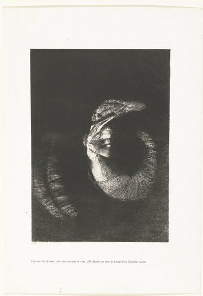 Het is een doodshoofd met een krans van rozen door Odilon Redon