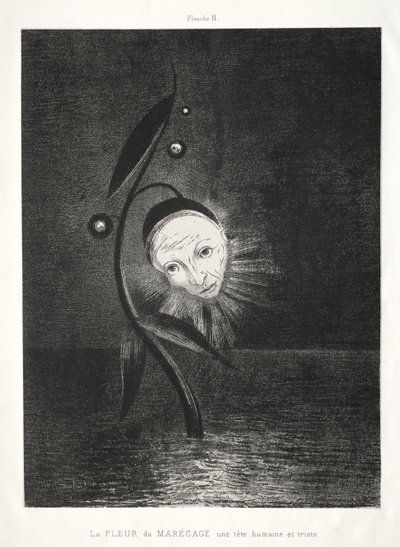 Hulde aan Goya: De Moerasbloem, een Triest Menselijk Hoofd, 1885 door Odilon Redon